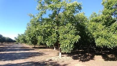 Property in Tulare County, California