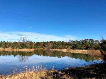 Property in Houston County, Georgia