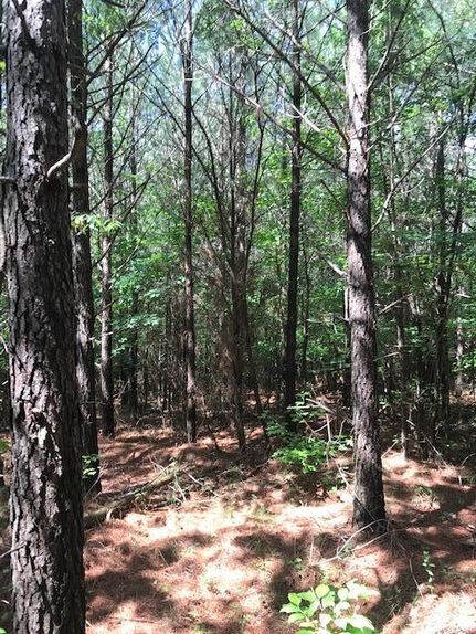 Property in Grundy County, Tennessee