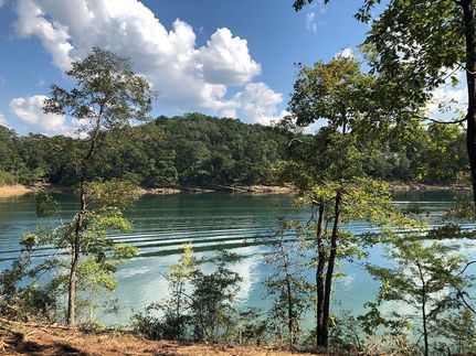 Property in Winston County, Alabama