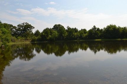 Property in Dodge County, Georgia