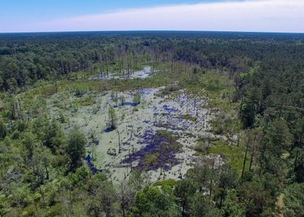 Property in Berkeley County, South Carolina