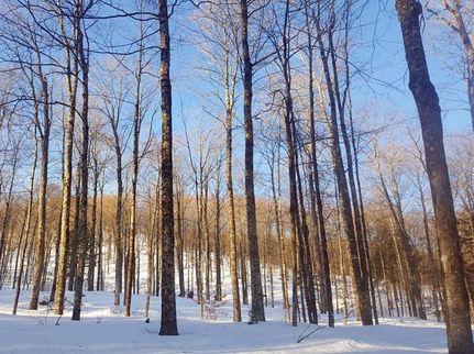 Property in Windsor County, Vermont