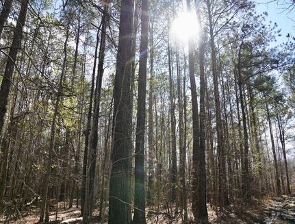 Property in Wilcox County, Alabama