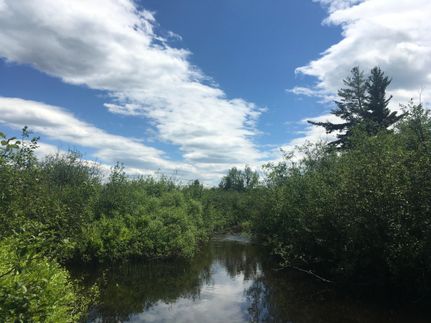 Property in Saint Lawrence County, New York