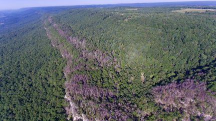 Property in Bledsoe County, Tennessee