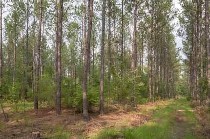 Property in Georgetown County, South Carolina
