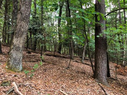 Property in Alleghany County, North Carolina