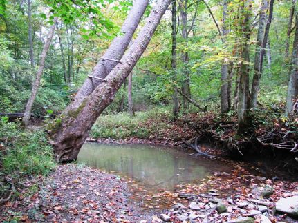 Property in Clermont County, Ohio