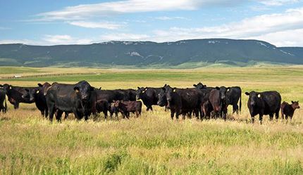 Property in Fergus County, Montana