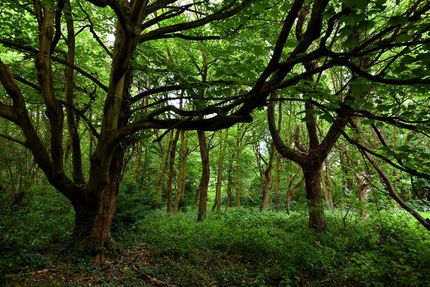 Property in Bedford County, Tennessee