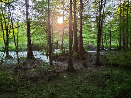 Property in Montgomery County, Alabama