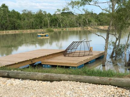 Property in Jefferson Davis Parish, Louisiana