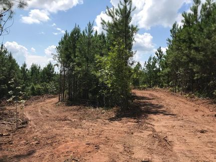 Property in Lee County, Alabama