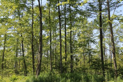 Property in Menominee County, Michigan