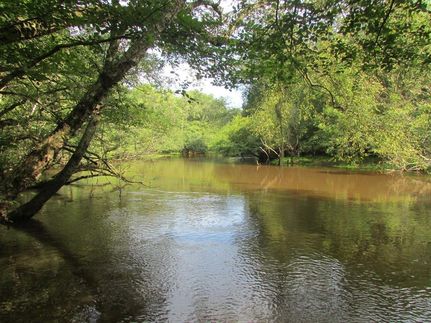 Property in Lee County, South Carolina