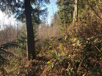 Property in Lewis County, Washington