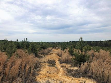 Property in Montgomery County, North Carolina