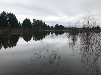 Property in Grays Harbor County, Washington