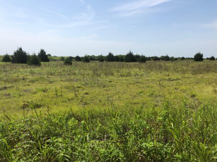 Property in Navarro County, Texas