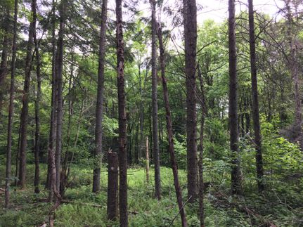 Property in Lewis County, New York