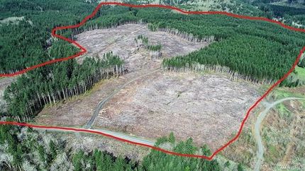 Property in Lewis County, Washington