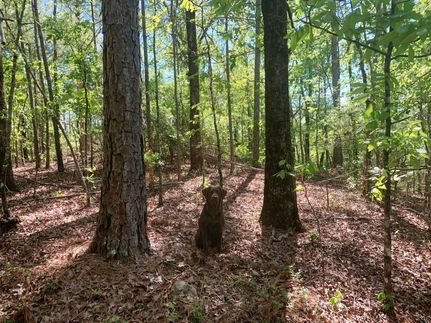 Property in Shelby County, Alabama