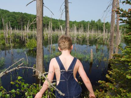 Property in Oxford County, Maine