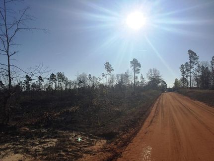 Property in Orangeburg County, South Carolina