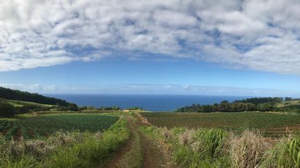 Property in Hawaii County, Hawaii