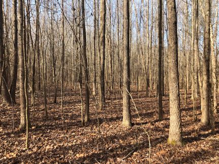 Property in Shelby County, Tennessee