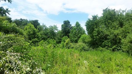 Property in Jackson County, West Virginia