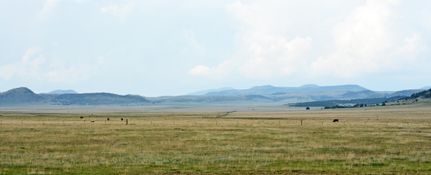 Property in Colfax County, New Mexico