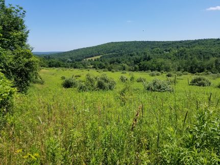 Property in Tioga County, New York