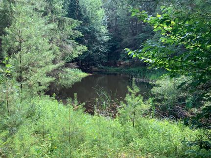 Property in Oswego County, New York