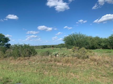 Property in Bee County, Texas