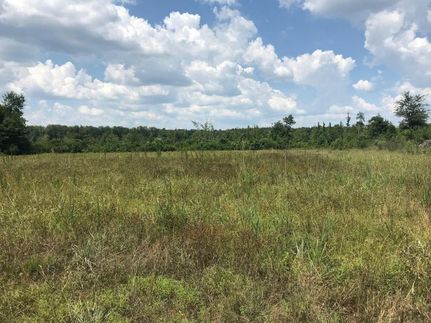 Property in Lowndes County, Mississippi