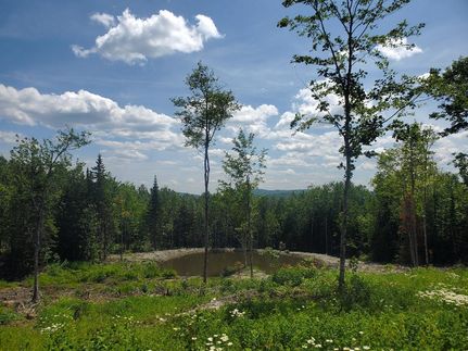 Property in Aroostook County, Maine