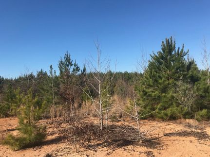 Property in Lamar County, Alabama