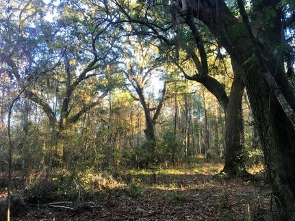 Property in Beaufort County, South Carolina