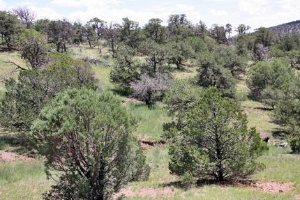 Property in Catron County, New Mexico