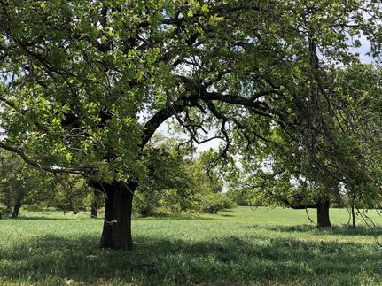 Property in Eastland County, Texas