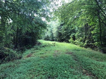 Property in Duplin County, North Carolina