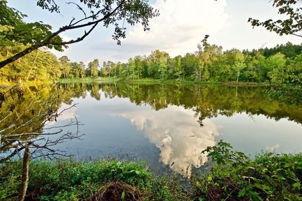 Property in Natchitoches Parish, Louisiana