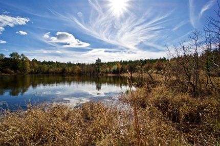 Property in DeSoto Parish, Louisiana