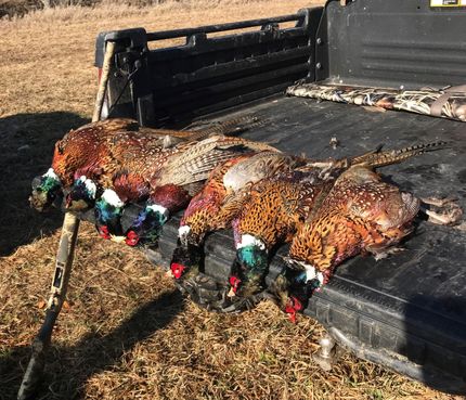 Property in Iroquois County, Illinois