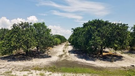 Property in Hardee County, Florida