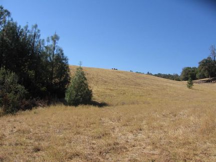 Property in Tuolumne County, California