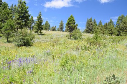 Property in Adams County, Idaho