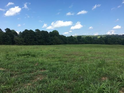 Property in Appomattox County, Virginia